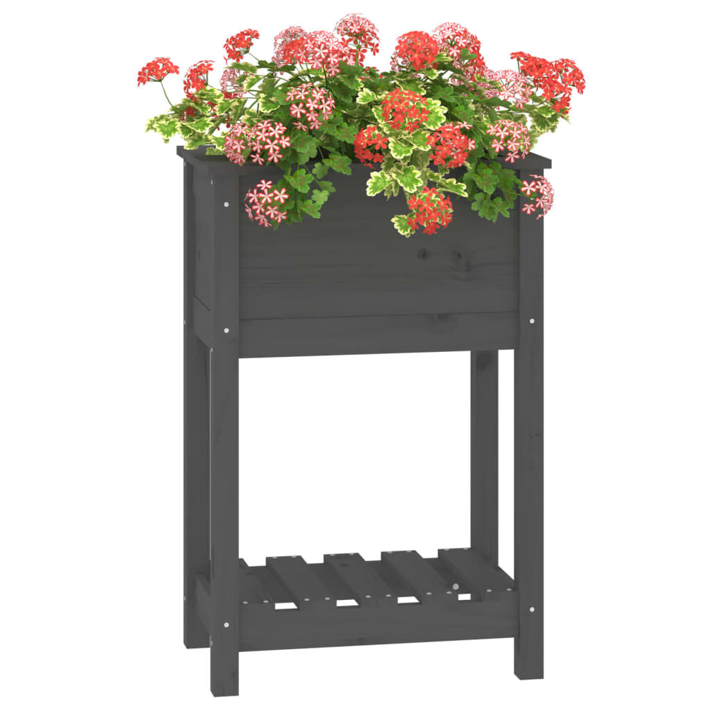 vidaXL Ζαρντινιέρα με Ράφι Γκρι 54x34,5x81 εκ. Μασίφ Ξύλο Πεύκου