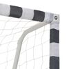 vidaXL Τέρμα Ποδοσφαίρου Ασπρόμαυρο 300 x 160 x 90 εκ. Μεταλλικό