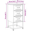 vidaXL Κομοδίνο Ανθρακί 36x39x78 εκ. από Χάλυβα