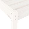 vidaXL Ξαπλώστρες 2 τεμ. Λευκές 199,5x60x74 εκ. από Μασίφ Ξύλο Πεύκου