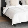 Set Παπλώματος Χειμώνα 3 pcs Λευκό 240 x 200 cm Μικροΐνες, Βαμβάκι