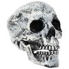 vidaXL &Nu;&epsilon;&kappa;&rho;&omicron;&kappa;&epsilon;&phi;&alpha;&lambda;ή Halloween SPOOKA 2 &tau;&mu;&chi;. &Lambda;&epsilon;&upsilon;&kappa;ό 12 x 15 x 17,5 &epsilon;&kappa;.