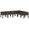 vidaXL &Zeta;&alpha;&rho;&nu;&tau;&iota;&nu;&iota;έ&rho;&alpha; &Kappa;ή&pi;&omicron;&upsilon; &mu;&epsilon; &Pi;ό&delta;&iota;&alpha; &Kappa;&alpha;&phi;έ 160x120x42 &epsilon;&kappa;. &Pi;&omicron;&lambda;&upsilon;&pi;&rho;&omicron;&pi;&upsilon;&lambda;έ&nu;&iota;&omicron;