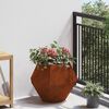 vidaXL &Gamma;&lambda;ά&sigma;&tau;&rho;&alpha; &Sigma;&kappa; rusty 50 x 50 x 40 cm &Alpha;&tau;&sigma;ά&lambda;&iota; &Sigma;&kappa;&lambda;&eta;&rho;&upsilon;&theta;έ&nu; &sigma;&tau;&omicron;&nu; &Alpha;έ&rho;&alpha;