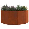 vidaXL &Gamma;&lambda;ά&sigma;&tau;&rho;&alpha; &Sigma;&kappa; rusty 120 x 120 x 50 &epsilon;&kappa; &Alpha;&tau;&sigma;ά&lambda;&iota; &Sigma;&kappa;&lambda;&eta;&rho;&upsilon;&theta;έ&nu; &sigma;&tau;&omicron;&nu; &Alpha;έ&rho;&alpha;