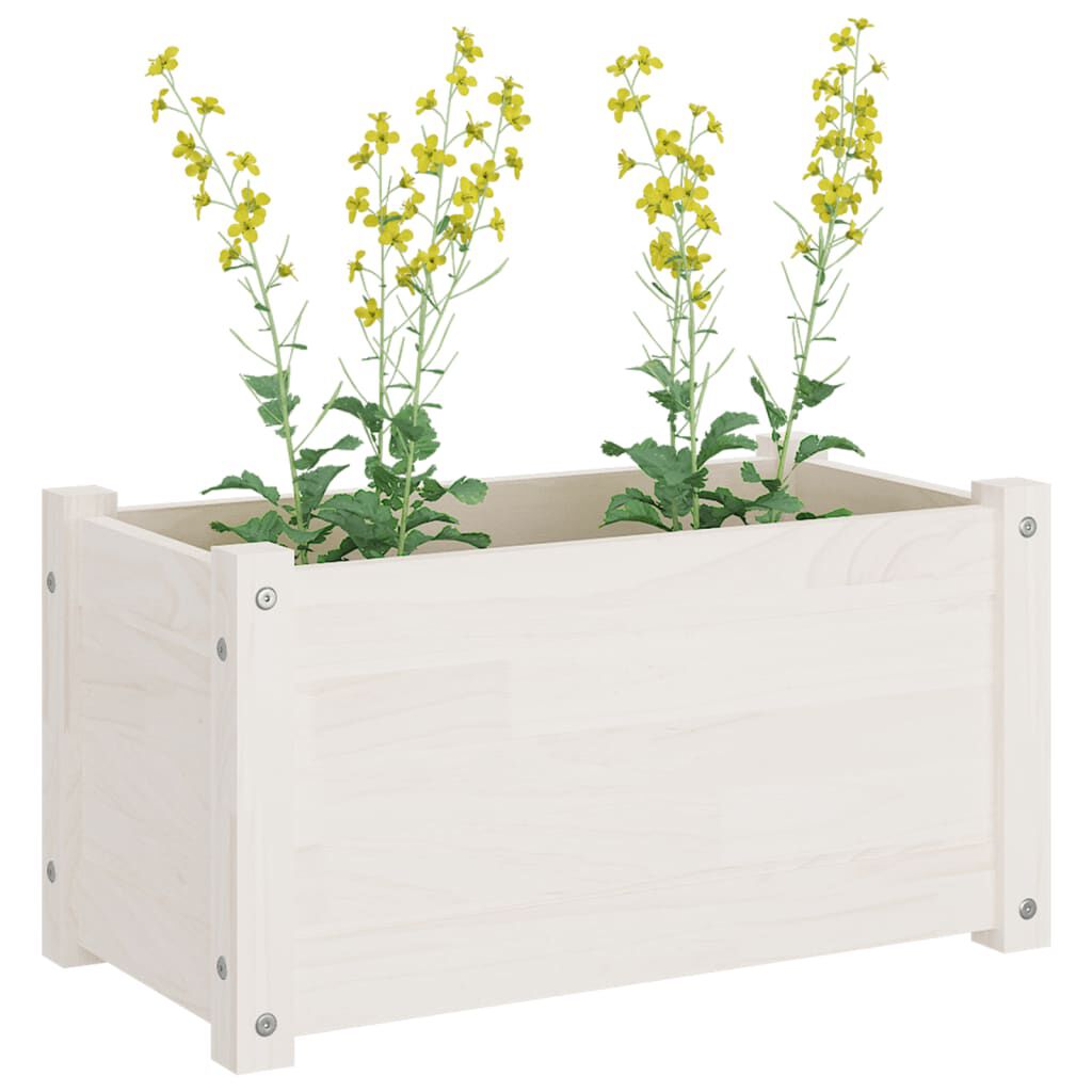 vidaXL Ζαρντινιέρα Λευκή 60 x 31 x 31 εκ. από Μασίφ Ξύλο Πεύκου