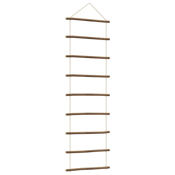 vidaXL Διακόσμηση τοίχου σε σχήμα σκάλας 50x150 cm Φυσικό κλαδί