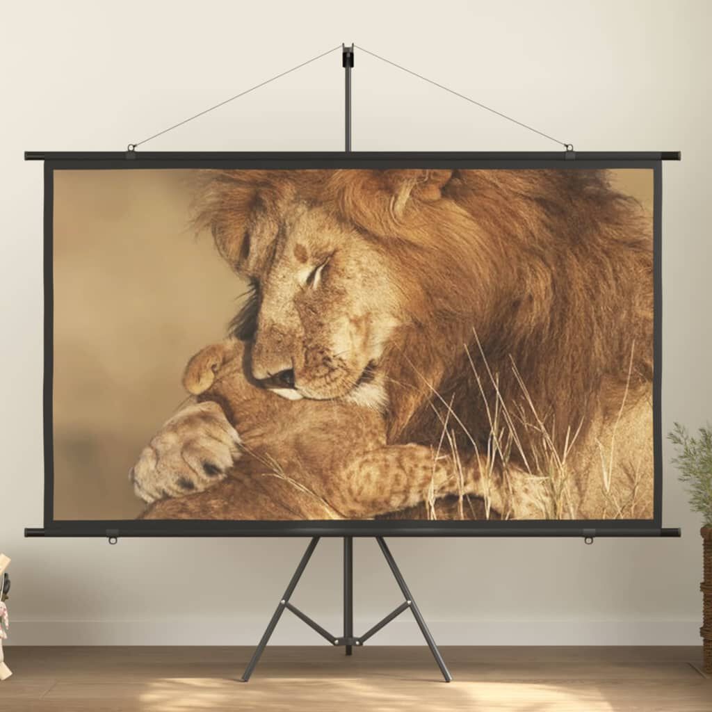 vidaXL Οθόνη Προβολής 90'' 16:9
