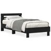Black_Oak