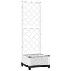 vidaXL &Gamma;&lambda;ά&sigma;&tau;&rho;&alpha; &Kappa;ή&pi;&omicron;&upsilon; &Lambda;&epsilon;&upsilon;&kappa;ό 40 x 40 x 121,5 cm
