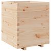Natural_pine