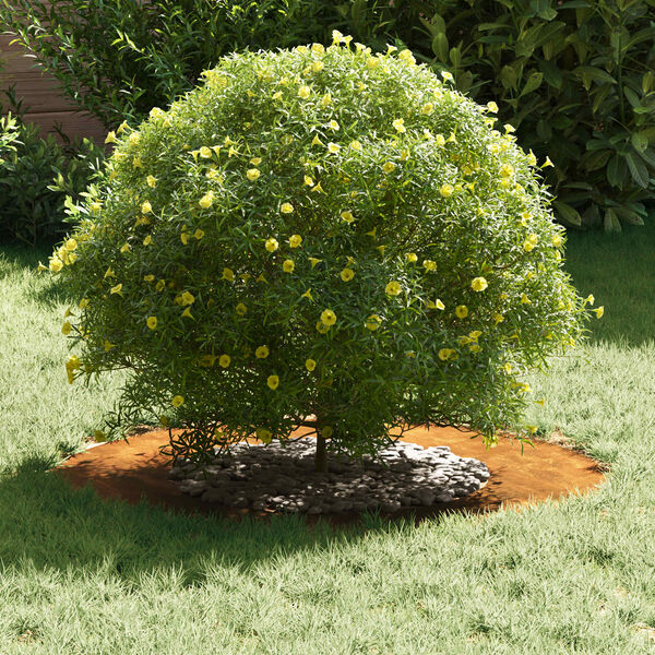 vidaXL &kappa;&alpha;&tau;ά&lambda;&lambda;&eta;&lambda;&omicron; &gamma;&iota;&alpha; &epsilon;&pi;ί&pi;&epsilon;&delta;&alpha; &delta;&alpha;&chi;&tau;&upsilon;&lambda;ί&delta;&iota;&alpha; &delta;έ&nu;&tau;&rho;&omicron;&upsilon; 5 pcs &Kappa;&alpha;&phi;έ &Oslash;40 / 70 &epsilon;&kappa;.