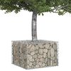 vidaXL &Alpha;&nu;&alpha;&sigma;&eta;&kappa;&omega;&mu;έ&nu;&omicron; &kappa;&rho;&epsilon;&beta;ά&tau;&iota; gabion &Alpha;&sigma;&eta;&mu;ί 60 x 60 x 40 cm
