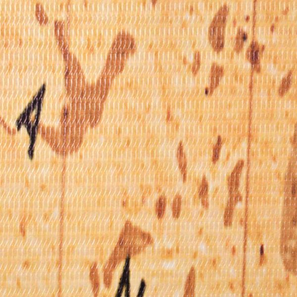 vidaXL &Delta;&iota;&alpha;&chi;&omega;&rho;&iota;&sigma;&tau;&iota;&kappa;ό &Delta;&omega;&mu;&alpha;&tau;ί&omicron;&upsilon; &Pi;&tau;&upsilon;&sigma;&sigma;ό&mu;&epsilon;&nu;&omicron; &Chi;ά&rho;&tau;&eta;&sigmaf; &Kappa;ί&tau;&rho;&iota;&nu;&omicron; 120 x 170 &epsilon;&kappa;.