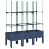 Blue_grey