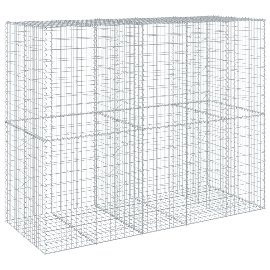 vidaXL Συρματοκιβώτιο με Κάλυμμα 250x100x200εκ από Γαλβανισμένο Χάλυβα