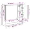 vidaXL Ντουλάπα Καθρέφτη Λευκό 59 x 17 x 55 cm Επεξεργασμένο ξύλο