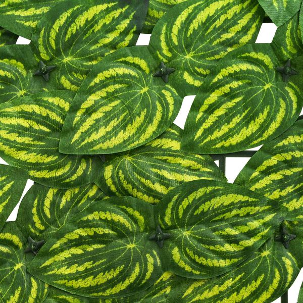 &Pi;&rho;&omicron;&beta;&omicron;&lambda;ή &Phi;&omega;&tau;&omicron;&gamma;&rho;&alpha;&phi;ί&alpha;&sigmaf; &Pi;&rho;&omicron;ϊό&nu;&tau;&omicron;&sigmaf; 4 &alpha;&pi;ό 6