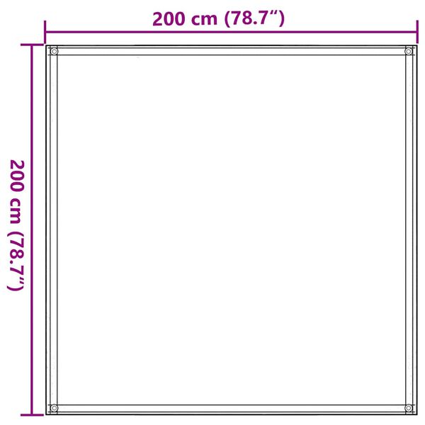 vidaXL Χαλί Σκηνής Καφέ 200 x 200 εκ.