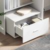 vidaXL Ντουλάπι με Συρτάρια Λευκό 55 x 45 x 33.5 εκ Επεξεργασμένο ξύλο
