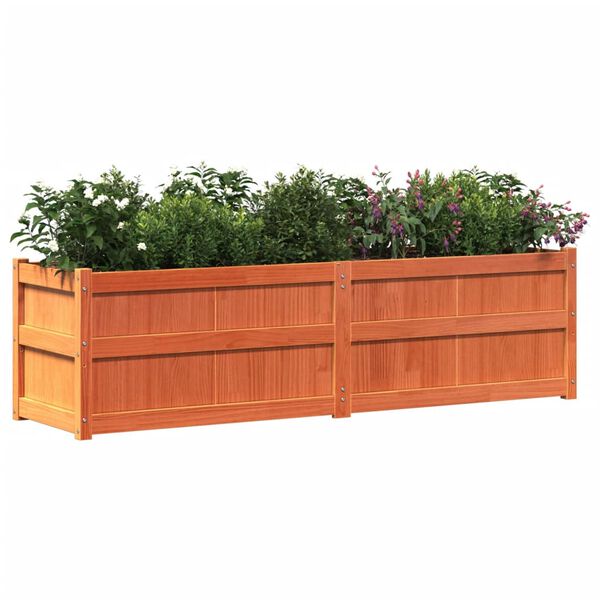 vidaXL Ζαρντινιέρα Καφέ Κεριού 180 x 50 x 50 εκ. από Μασίφ Ξύλο Πεύκου