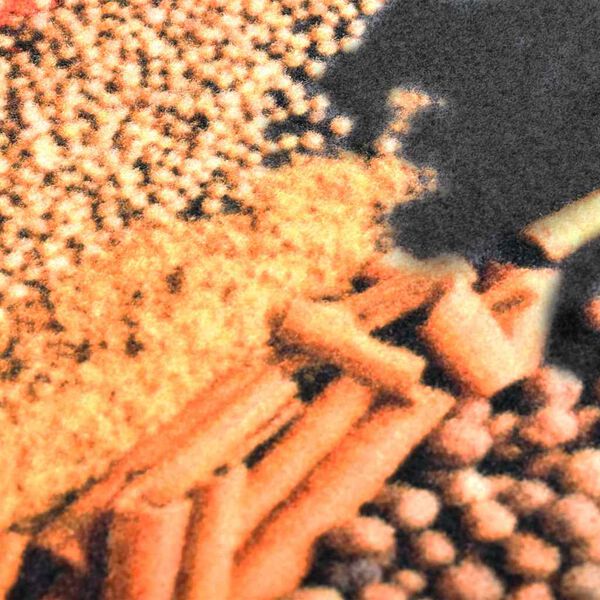 &Pi;&rho;&omicron;&beta;&omicron;&lambda;ή &Phi;&omega;&tau;&omicron;&gamma;&rho;&alpha;&phi;ί&alpha;&sigmaf; &Pi;&rho;&omicron;ϊό&nu;&tau;&omicron;&sigmaf; 4 &alpha;&pi;ό 6