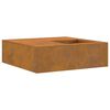 vidaXL Φωτιά Καφέ 100 x 100 x 30 cm Ατσάλι σκληρυθέν στον αέρα