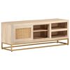 vidaXL Έπιπλο Τηλεόρασης 110 x 30 x 40 εκ. Μασίφ Ξύλο Μάνγκο & Σίδηρος