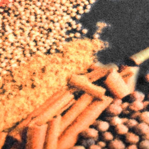 vidaXL &Pi;&alpha;&tau;ά&kappa;&iota; &Kappa;&omicron;&upsilon;&zeta;ί&nu;&alpha;&sigmaf; &Sigma;&chi;έ&delta;&iota;&omicron; &Mu;&pi;&alpha;&chi;&alpha;&rho;&iota;&kappa;ά &Pi;&lambda;&epsilon;&nu;ό&mu;&epsilon;&nu;&omicron; 60 x 180 &epsilon;&kappa;.