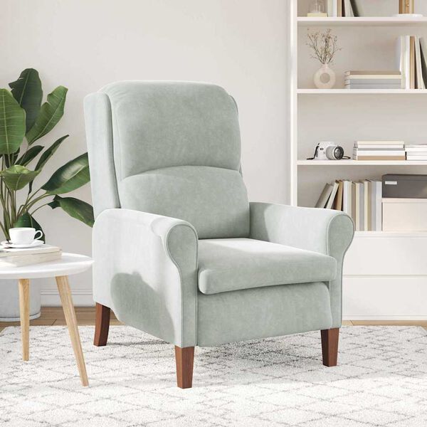 vidaXL Πολυθρόνα Ανοιχτό γκρι 76 x 94 x 102 εκ. Βελούδο