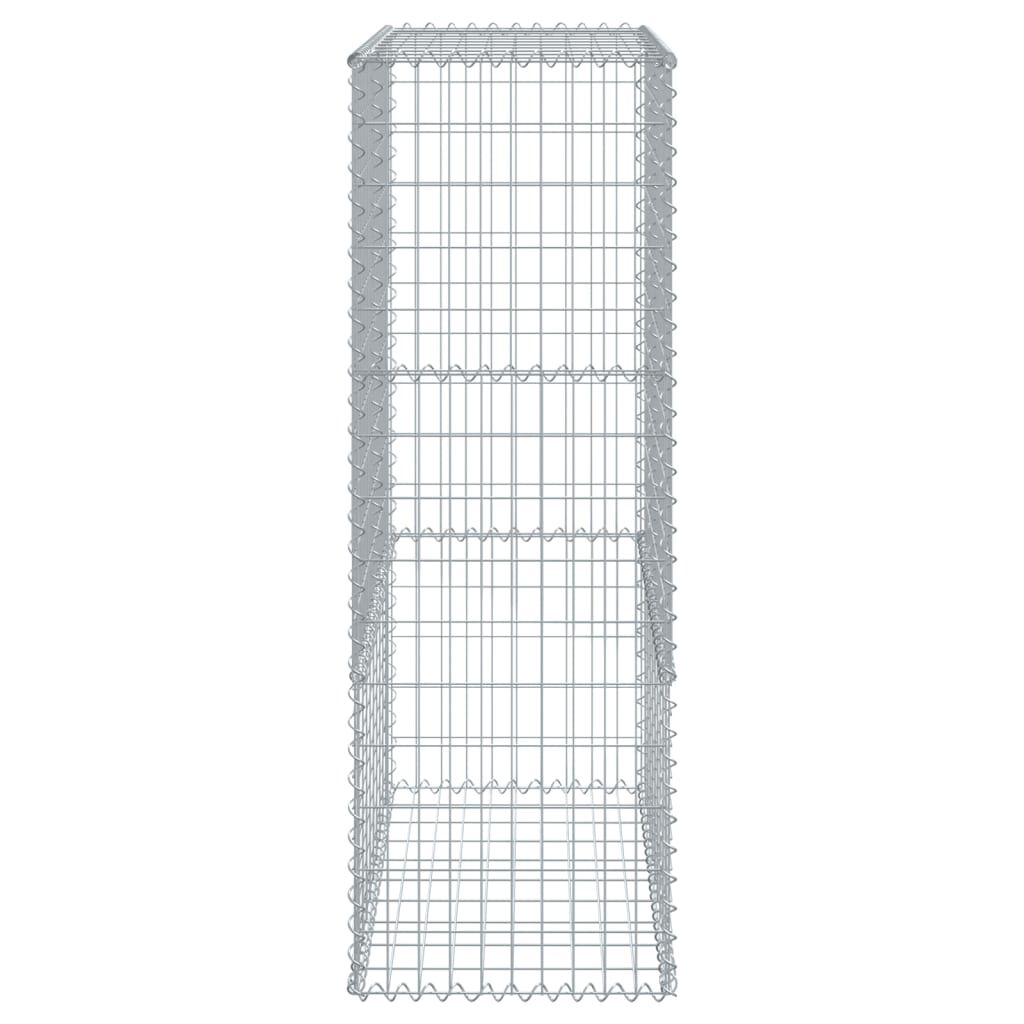 vidaXL Συρματοκιβώτιο με Κάλυμμα 100x50x150εκ. από Γαλβανισμένο Χάλυβα