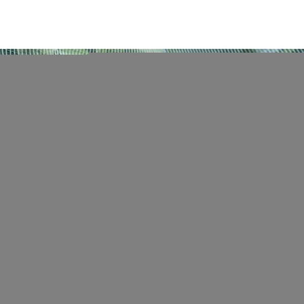 Nature Δίχτυ Εντομοπροστασίας από την Καρπόκαψα της Μηλιάς 6030450