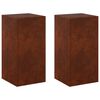vidaXL &Beta;ά&sigma;&eta; &phi;&upsilon;&tau;ώ&nu; 2 pcs &Sigma;&kappa; rusty 30 x 30 x 60 cm