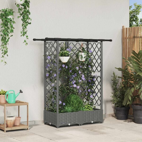 &Pi;&rho;&omicron;&beta;&omicron;&lambda;ή &Phi;&omega;&tau;&omicron;&gamma;&rho;&alpha;&phi;ί&alpha;&sigmaf; &Pi;&rho;&omicron;ϊό&nu;&tau;&omicron;&sigmaf; 2 &alpha;&pi;ό 8