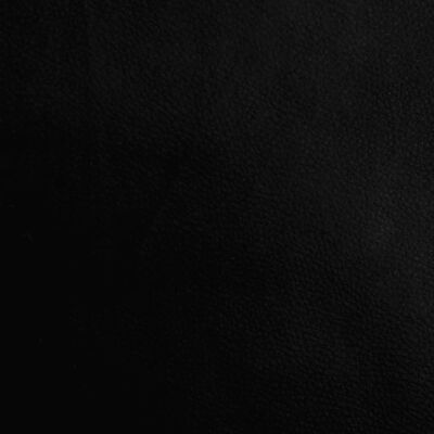 vidaXL Παπουτσοθήκη Μαύρη 62 x 32 x 50 εκ. από Επεξεργασμένο Ξύλο