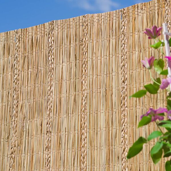 Nature &Kappa;&alpha;&lambda;&alpha;&mu;&omega;&tau;ή &Pi;&epsilon;&rho;ί&phi;&rho;&alpha;&xi;&eta;&sigmaf; 3 x 1,2 &mu;. &alpha;&pi;ό &Kappa;ύ&pi;&epsilon;&rho;&eta;