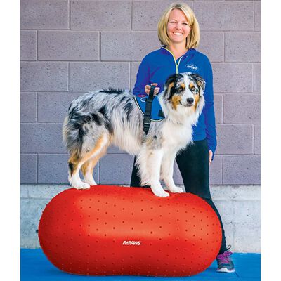 FitPAWS Πλατφόρμα Ισορροπίας Κατοικίδιου Trax Peanut Κόκκινο 50 εκ.