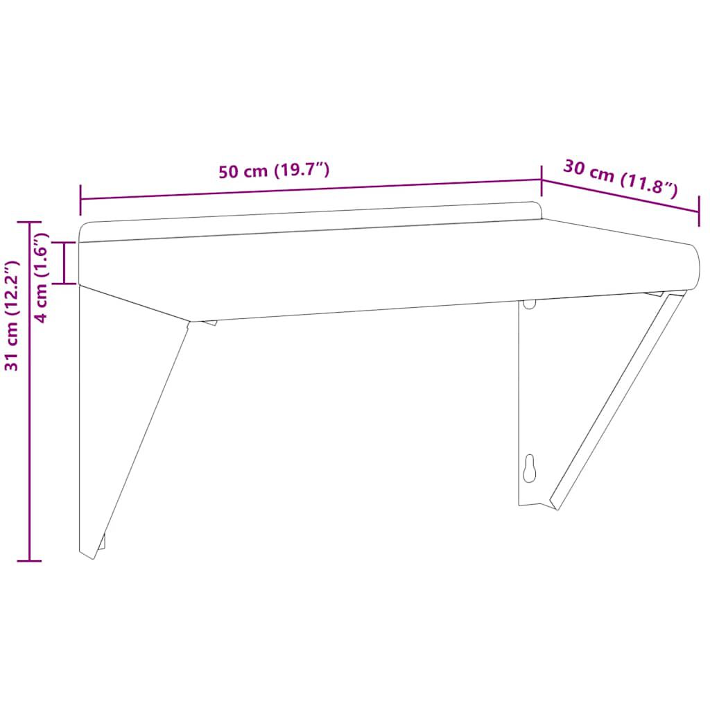 vidaXL Ράφι Τοίχου Ασημί 50x30x31 εκ. Ανοξείδωτο Ατσάλι