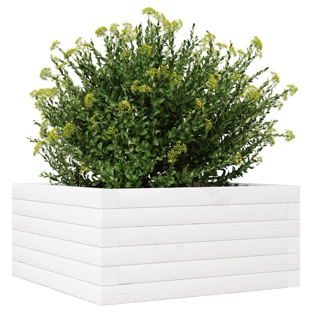 vidaXL Ζαρντινιέρα Κήπου Λευκή 50x50x23 εκ. από Μασίφ Ξύλο Πεύκου