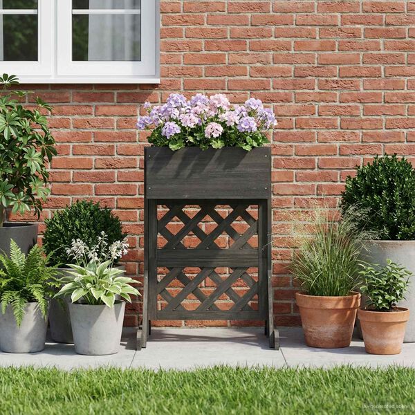 &Pi;&rho;&omicron;&beta;&omicron;&lambda;ή &Phi;&omega;&tau;&omicron;&gamma;&rho;&alpha;&phi;ί&alpha;&sigmaf; &Pi;&rho;&omicron;ϊό&nu;&tau;&omicron;&sigmaf; 4 &alpha;&pi;ό 10