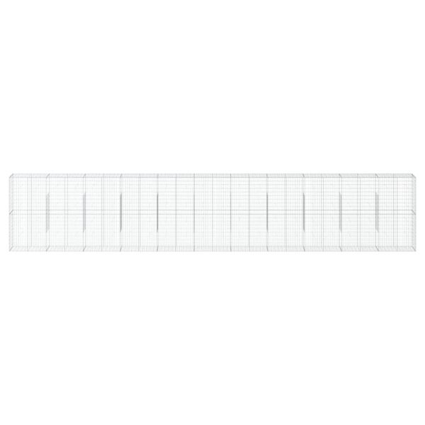 vidaXL Συρματοκιβώτιο με Κάλυμμα 1100x50x200εκ από Γαλβανισμένο Χάλυβα