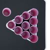 vidaXL Σετ Τραπεζιού Beer Pong 0,5 L Πλαστικό