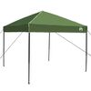 vidaXL Σκηνή Canopy Pop-up Πράσινο 250 x 250 cm ύφασμα