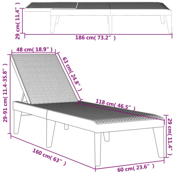 vidaXL Ξαπλώστρα Ανθρακί 186 x 60 x 29 από Πολυπροπυλένιο