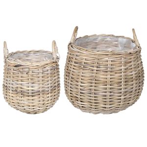 vidaXL &Kappa;&alpha;&lambda;ά&theta;&iota; &Phi;&upsilon;&tau;ώ&nu; &mu;&epsilon; &alpha;&pi;&omicron;&theta;ή&kappa;&epsilon;&upsilon;&sigma;&eta; 2 pcs &Gamma;&kappa;&rho;&iota; &Rho;ά&tau;&tau;&alpha;&nu; &Lambda;&alpha;&tau;&sigma;ά&kappa;