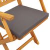 vidaXL Πτυσσόμενη Καρέκλα με μαξιλάρι 2 pcs Γκρι 49 x 57.5 x 92εκ