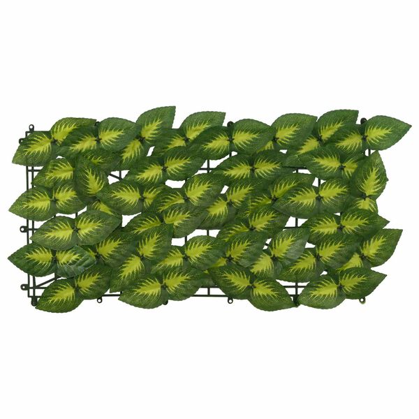 &Pi;&rho;&omicron;&beta;&omicron;&lambda;ή &Phi;&omega;&tau;&omicron;&gamma;&rho;&alpha;&phi;ί&alpha;&sigmaf; &Pi;&rho;&omicron;ϊό&nu;&tau;&omicron;&sigmaf; 3 &alpha;&pi;ό 6