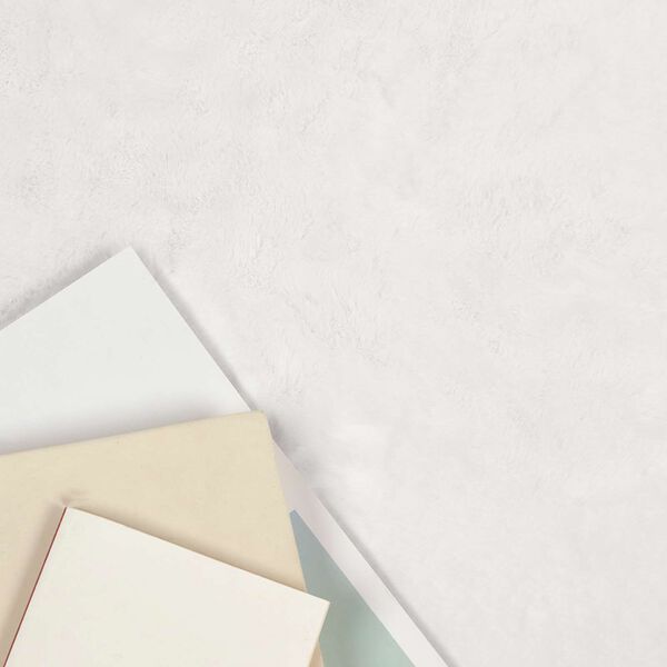 vidaXL Χαλιά Ψεύτικου Κουνελιού Olite Λευκό 240 x 340 εκ. Πολυεστέρας