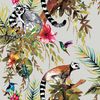 DUTCH WALLCOVERINGS &Tau;&alpha;&pi;&epsilon;&tau;&sigma;&alpha;&rho;ί&alpha; &Tau;&omicron;ί&chi;&omicron;&upsilon; &Lambda;&epsilon;&mu;&omicron;ύ&rho;&iota;&omicron;&iota; &Alpha;&sigma;&eta;&mu;ί