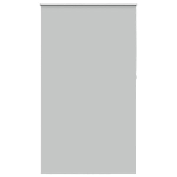 vidaXL Ρολέρ Μπλακάουτ ανοιχτό γκρι 120x210 cm Πλάτος υφάσματος